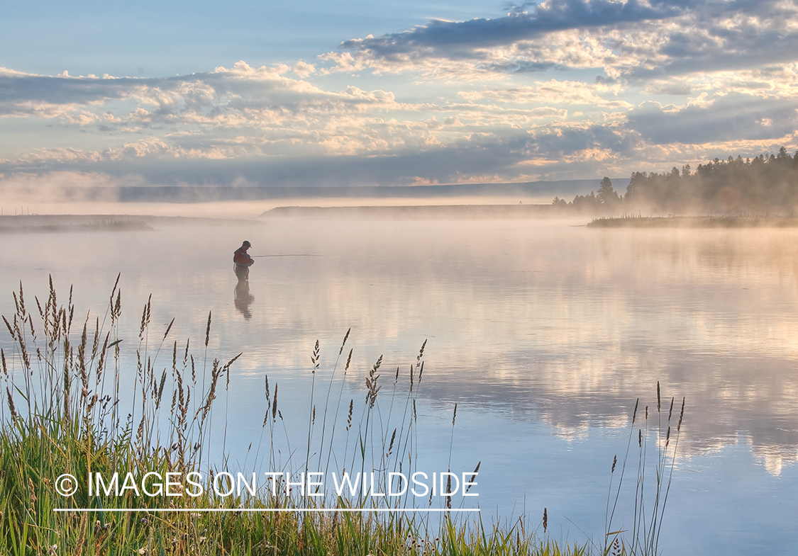 Flyfishing in fog on lake in Henry's Fork, ID.