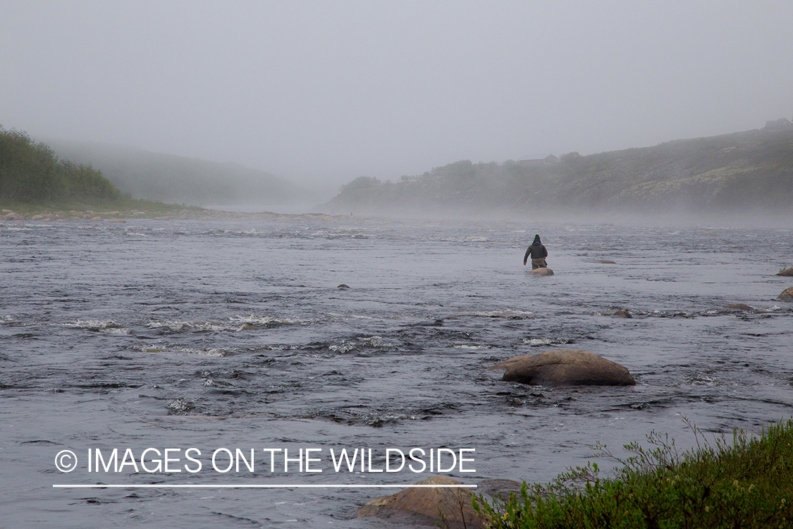 Flyfishing for Atlantic salmon on the Yokanga River in Russia.