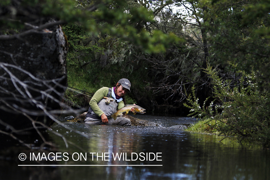 Flyfishing woman releasing brown trout.