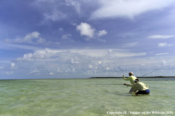 Saltwater Flyfishing 