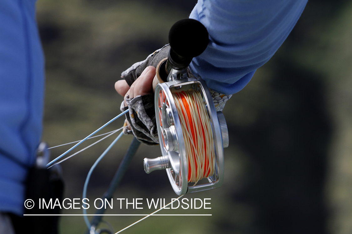 Saltwater flyfisherman fishing.  