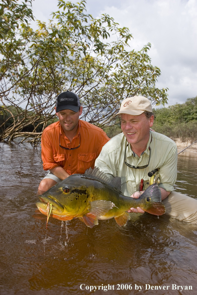 Fisherman holding Peacock Bass