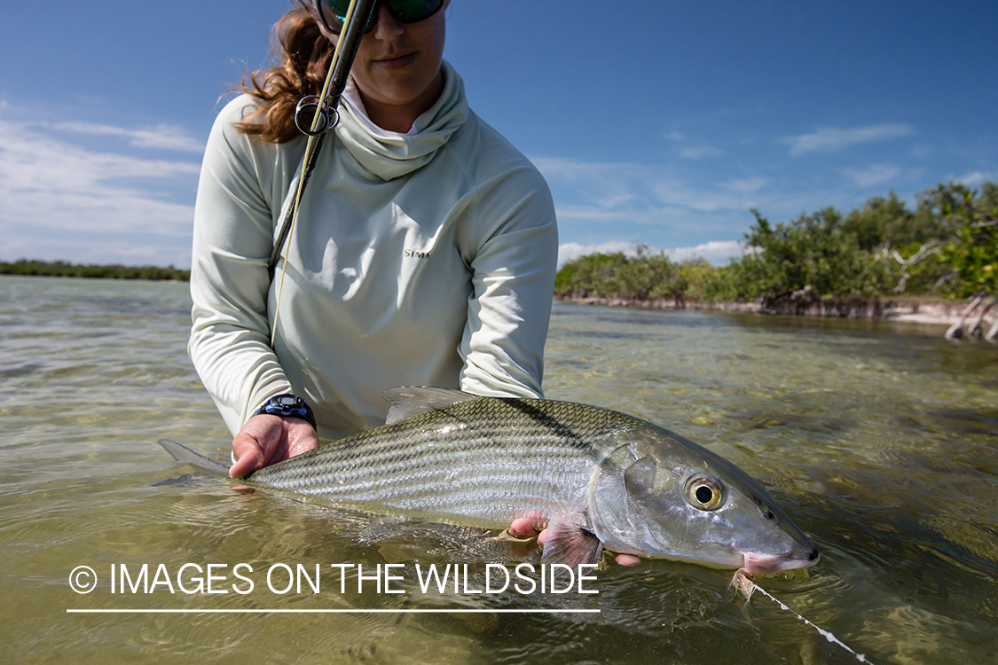 Flyfishing woman with bonefish.