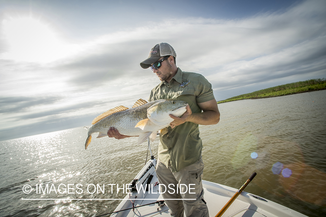 Fisherman with redfish.