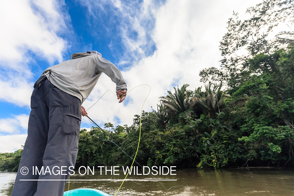 Saltwater flyfishing in Belize.