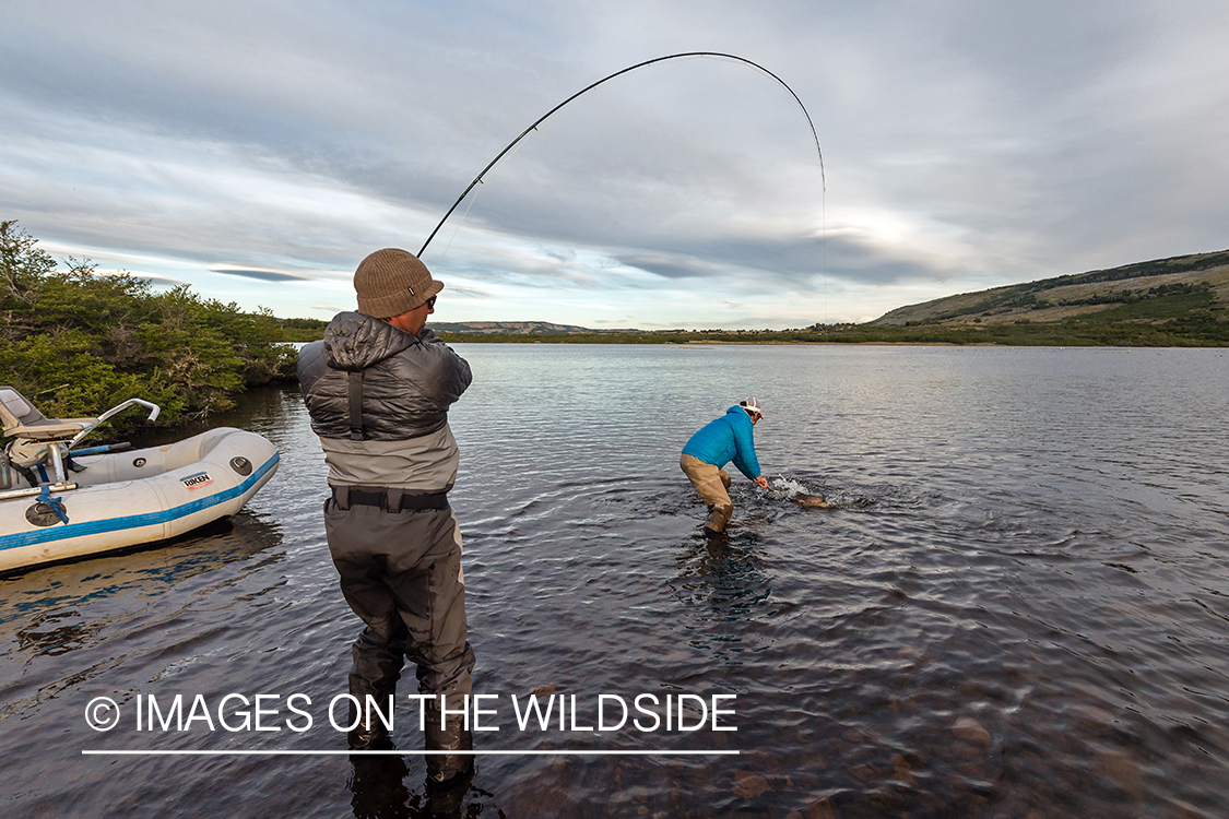 Flyfisherman fighting trout.