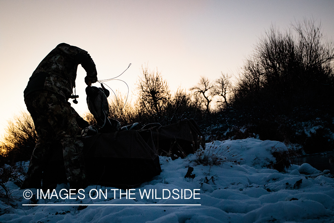 Hunter packing duck decoys.