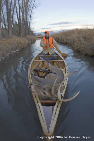 Woman big game hunter paddling canoe with bagged white-tailed deer in bow.