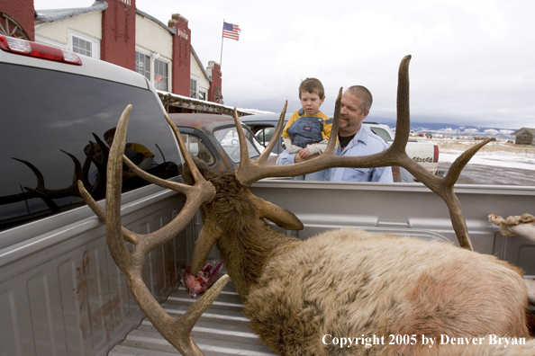 Father and son checking out field dressed bull elk in back of truck.