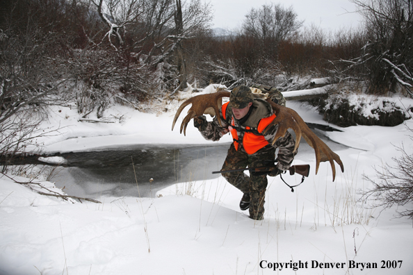 Moose hunter in field