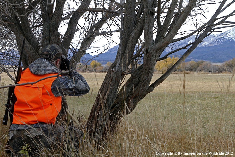 Hunter tracking moose.