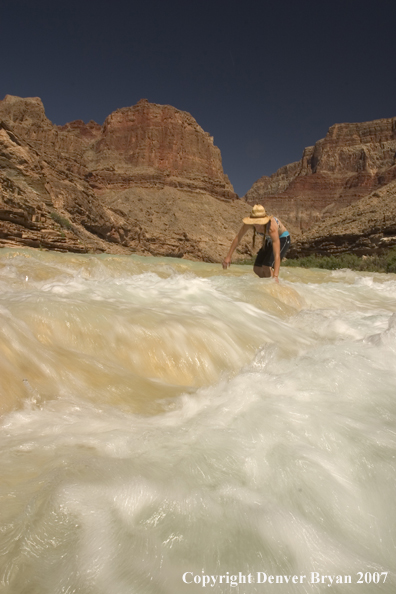 Woman walking in the Little Colorado River.  Grand Canyon.