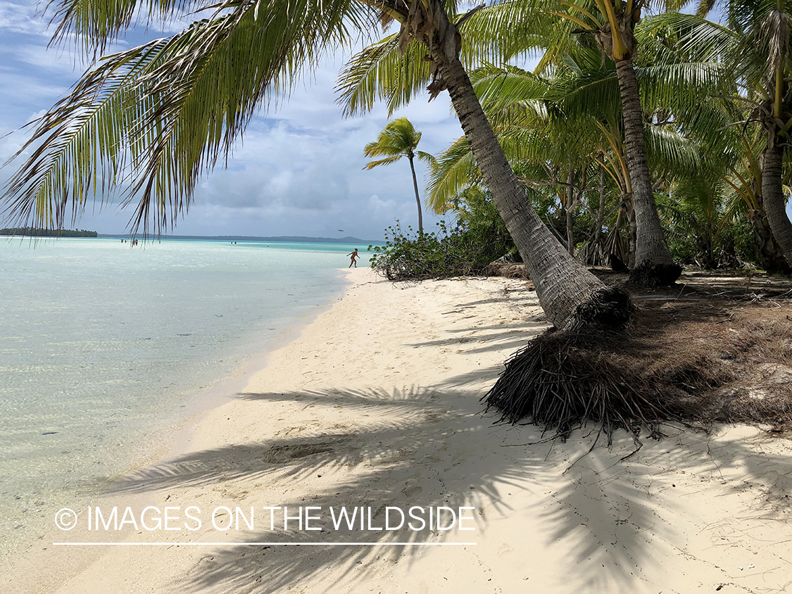 Beach on Aitutaki Island.