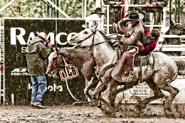 Saddlebronc rider and pick-up man