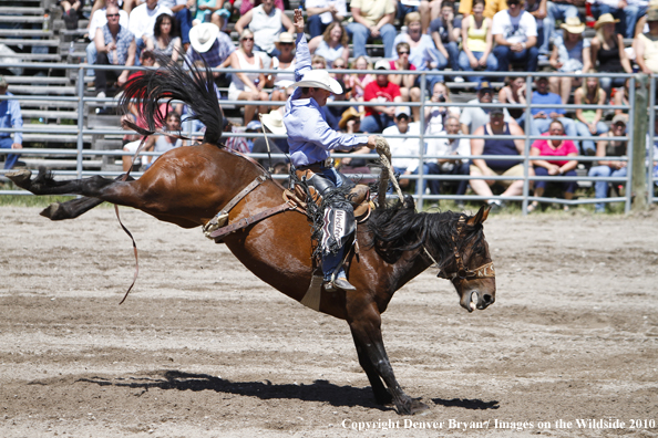 Augusta Rodeo