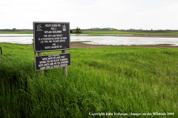 Signs posted on wetlands