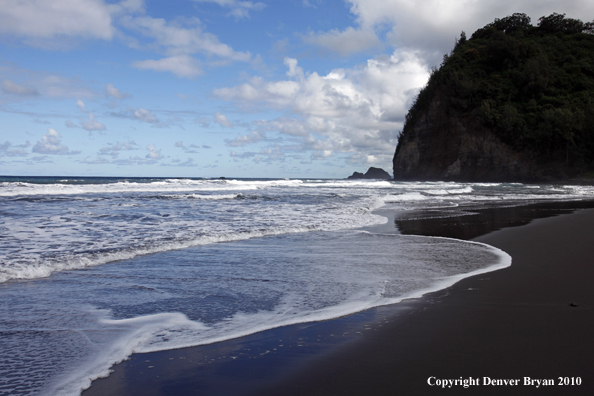 Beach on The Big Island, Hawaii.