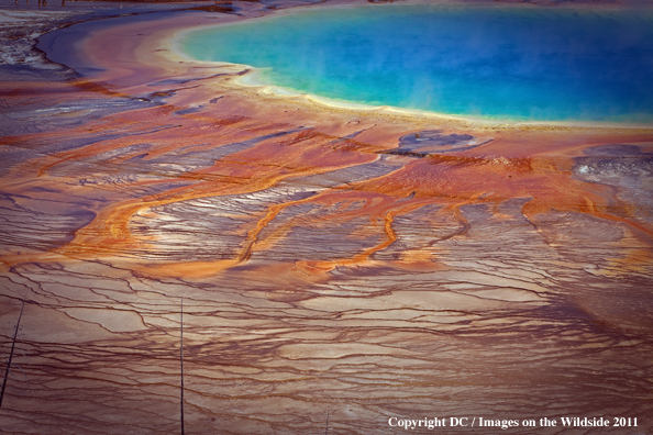 Yellowstone National Park river scenic