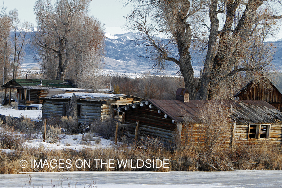 A old homestead in high mountain desert in Wyoming.