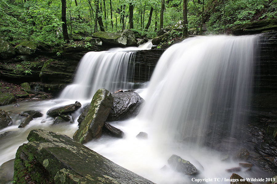 Majestic waterfall in temperate forest.