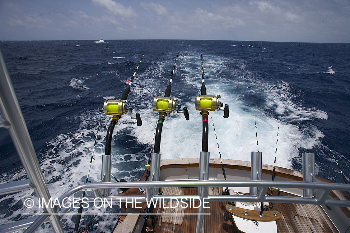 Deep sea fishing boat with rods.