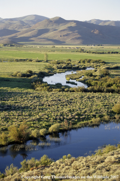 Flyfishing on Silver Creek in Idaho