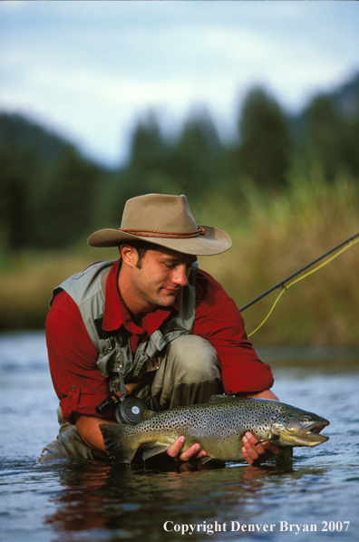 Flyfisherman releasing brown trout.