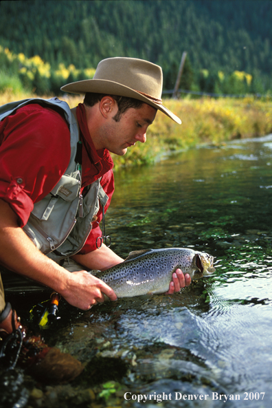 Flyfisherman releasing brown trout.