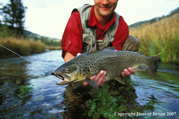 Flyfisherman holding brown trout.