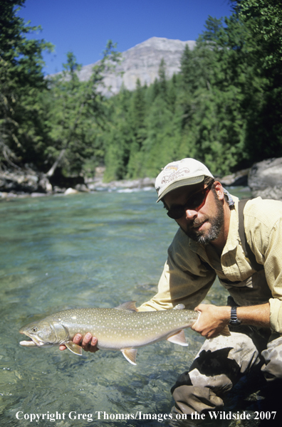 Bull Trout