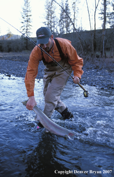 Fisherman landing steelhead.