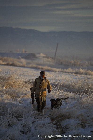 Waterfowl hunter with black Lab. 