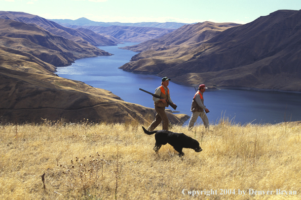 Upland bird hunters with black Labrador Retriever.