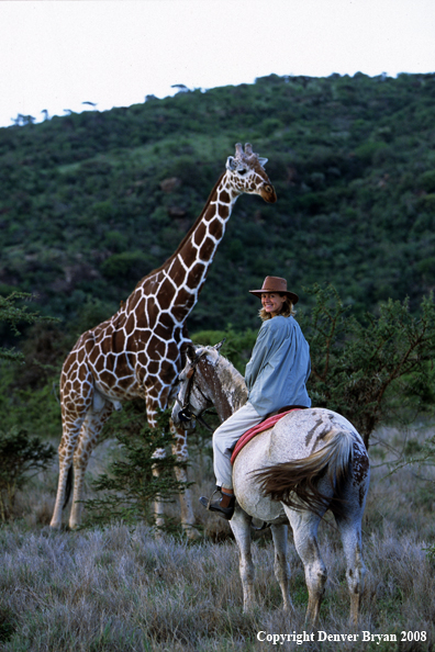 Woman Horseback Rider with Giraffe