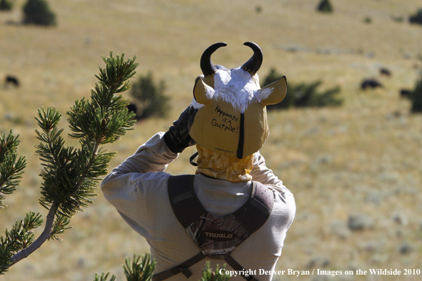 Archery Hunting for Pronghorned Antelope in Field