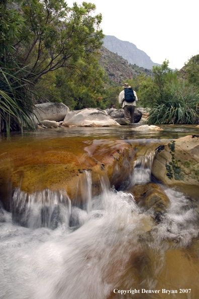 Flyfisherman casting on river.