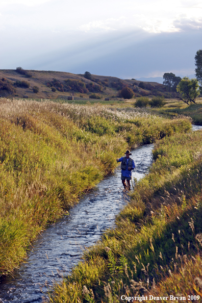 Flyfisherman casting on small stream