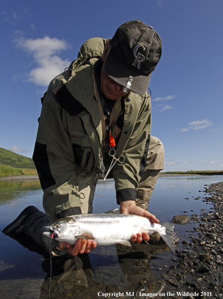 Flyfisherman with salmon on Kodiak Island, Alaska. 