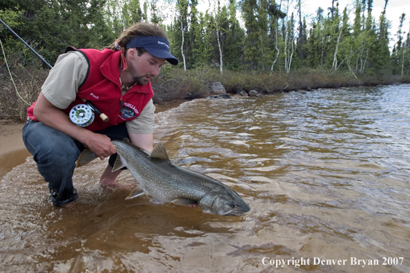 Flyfisherman releasing lake trout (MR).