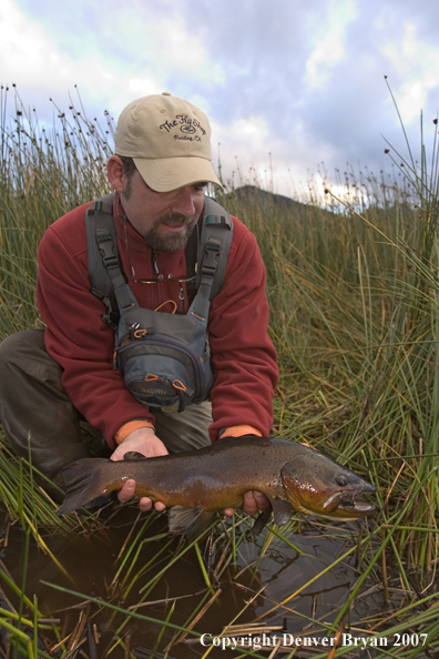 Flyfisherman holding brown trout.