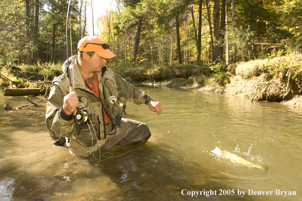 Flyfisherman landing trout on small stream.