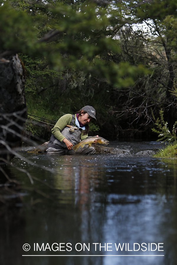 Flyfishing woman releasing brown trout.