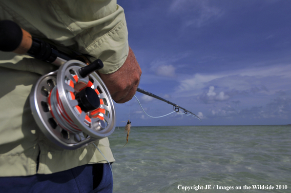 Saltwater Flyfishing 