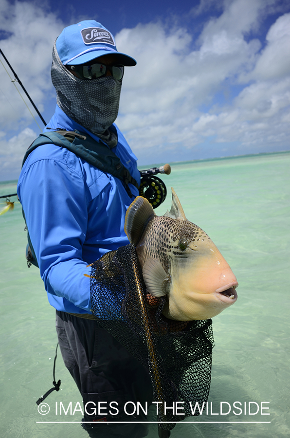 Flyfisherman with Peachy Triggerfish.