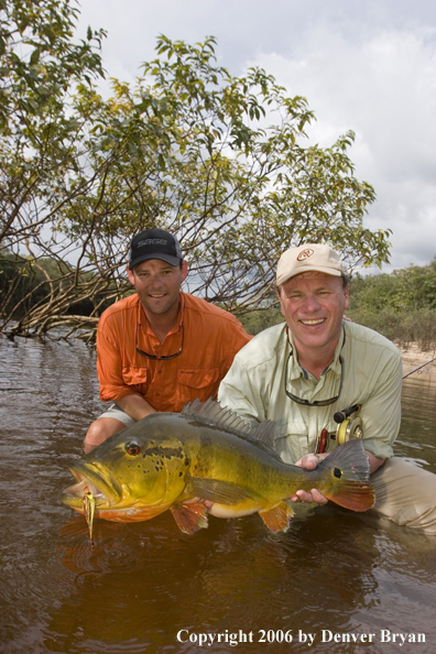 Fisherman holding Peacock Bass