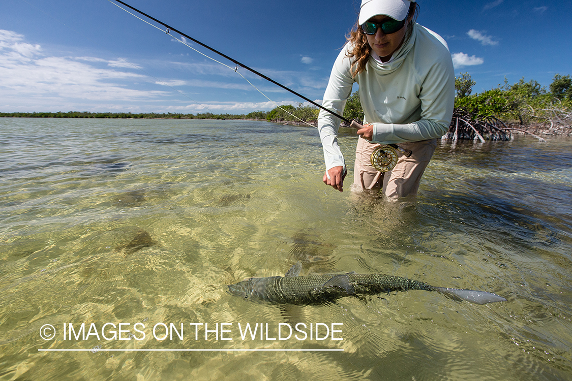 Flyfishing woman with bonefish.