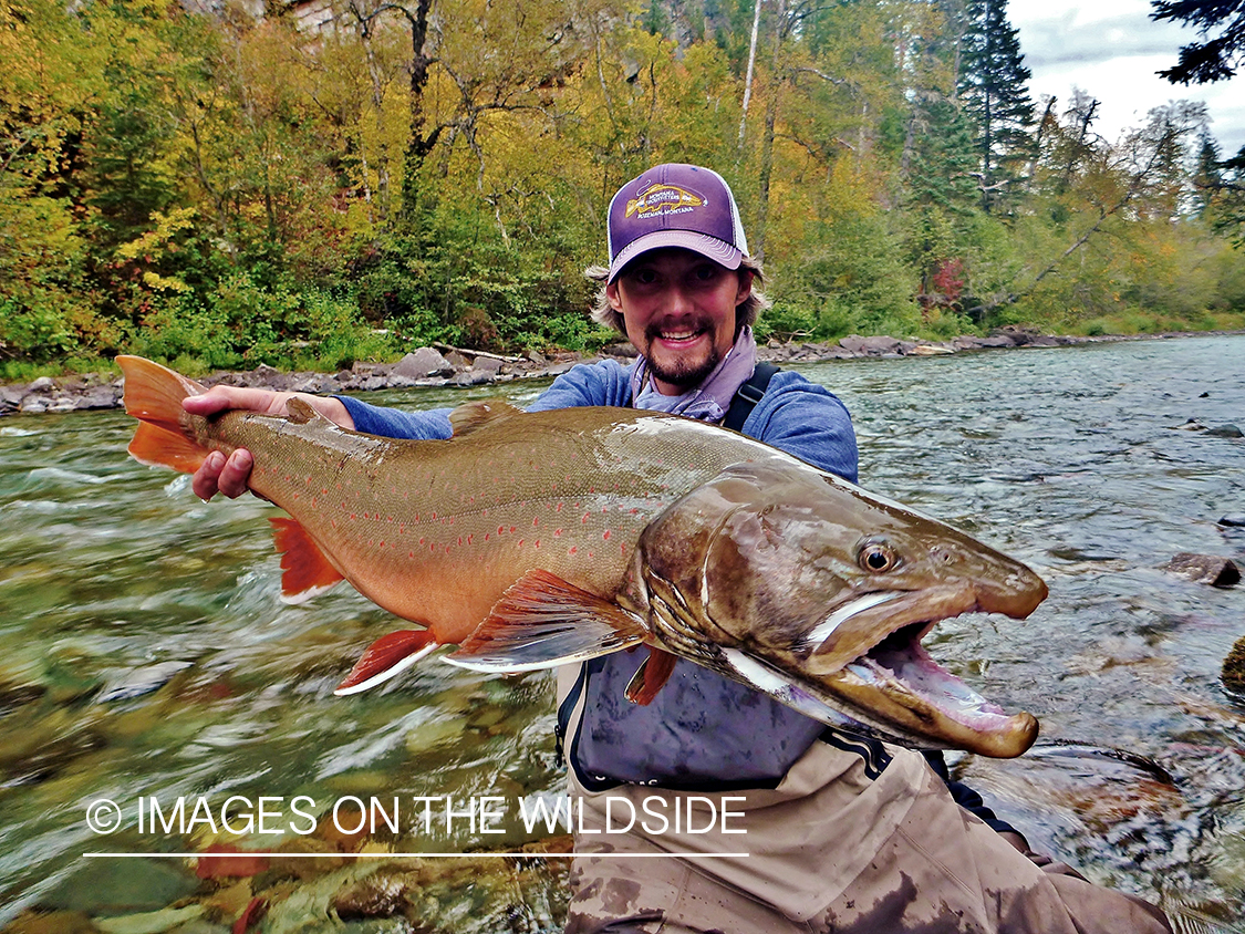 Flyfisherman with bull trout.