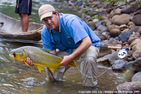 Flyfisherman holding a Golden Dorado