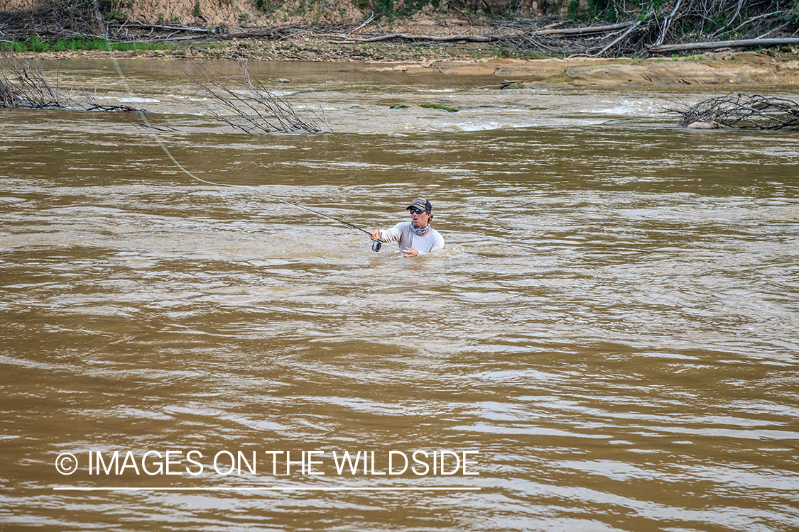 Flyfishing for Golden Dorado in Bolivia.