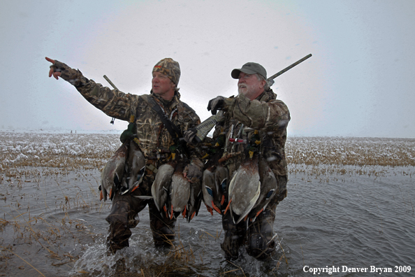 Waterfowl hunters with killed mallard ducks.